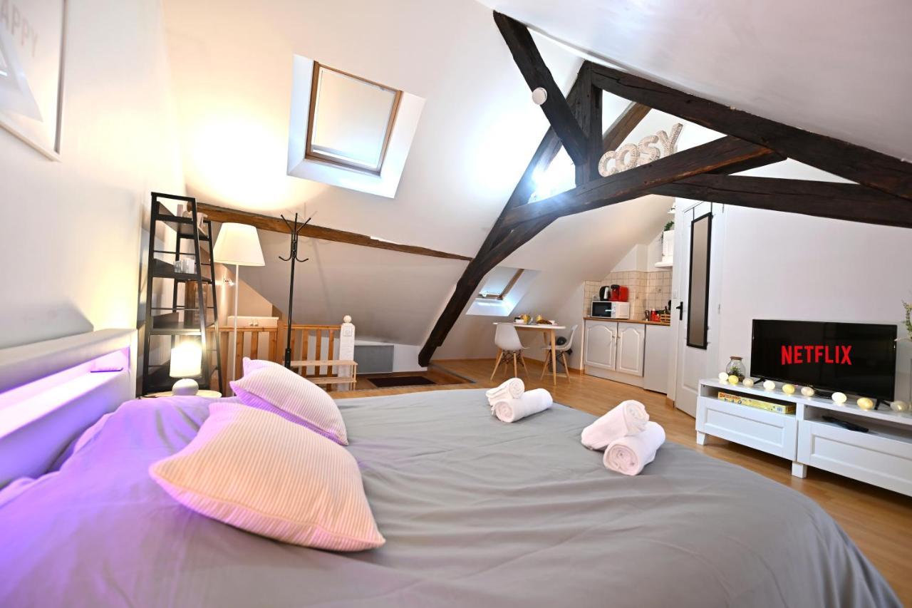 Appartement Le Cosy Du Tambour D'Argent à Sens Extérieur photo