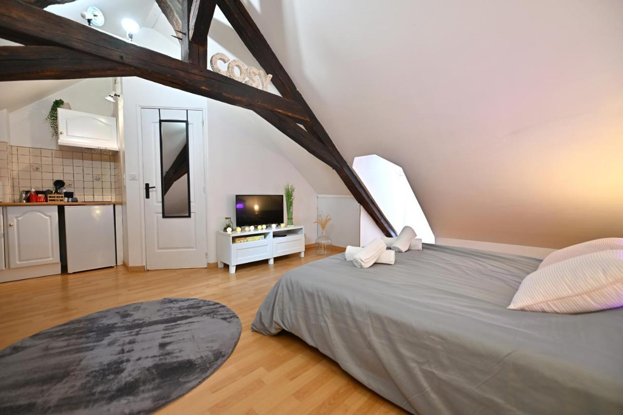 Appartement Le Cosy Du Tambour D'Argent à Sens Extérieur photo