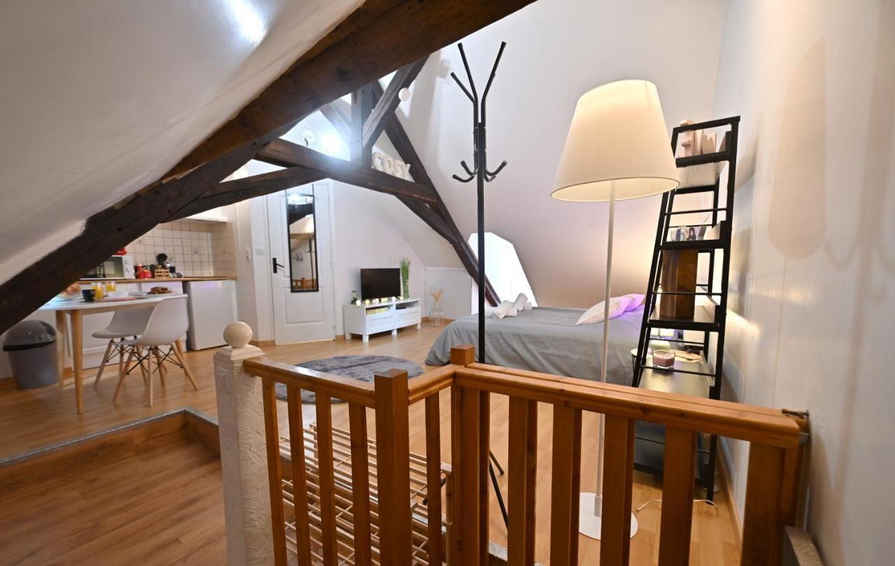 Appartement Le Cosy Du Tambour D'Argent à Sens Extérieur photo